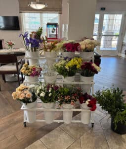 Valentine’s Week Celebrations in South Jacksonville